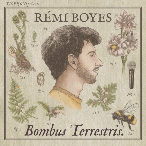 REMI BOYES